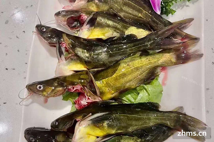 安阳火锅店食材超市一站式加盟店适合去投资吗？