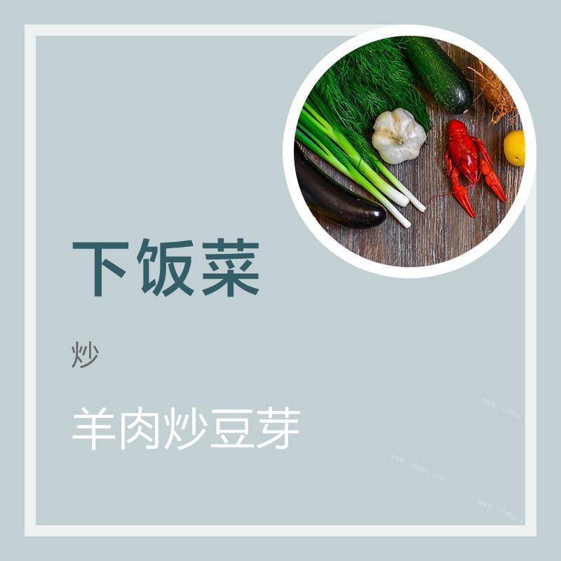 羊肉炒豆芽的做法 羊肉炒豆芽怎么做好吃 羊肉炒豆芽的家常做法大全图解 九州醉餐饮网
