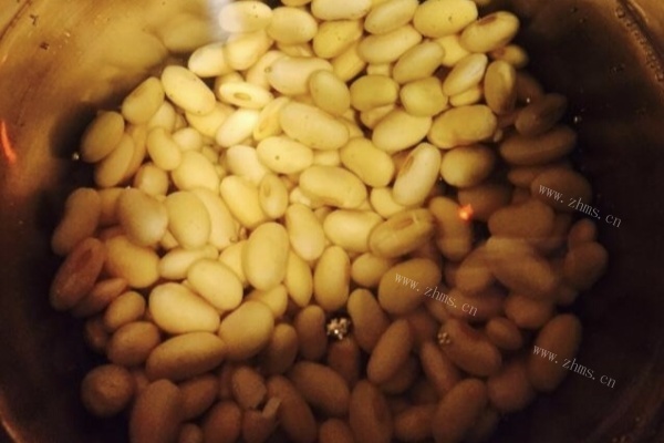 豆腐脑的制作——大豆的极致升华第一步