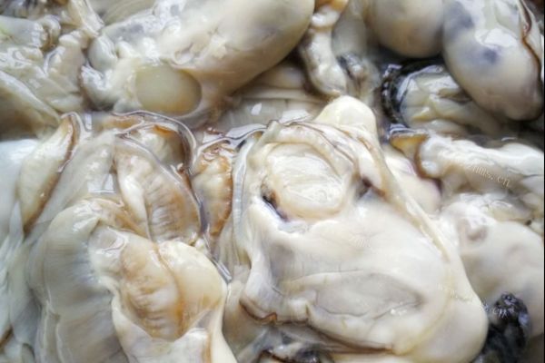 清新低脂的海蛎子炖豆腐，好吃还长不胖第二步