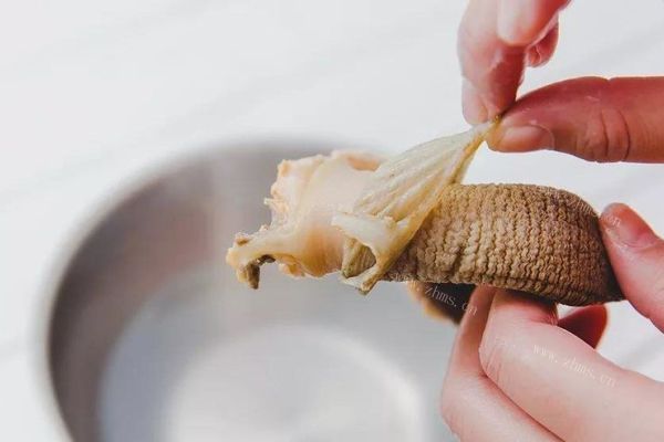 象拔蚌刺身——带你感受大自然的原汁原味第五步