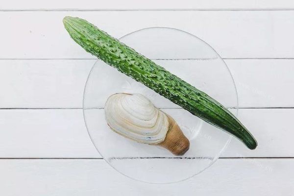 象拔蚌刺身——带你感受大自然的原汁原味第一步