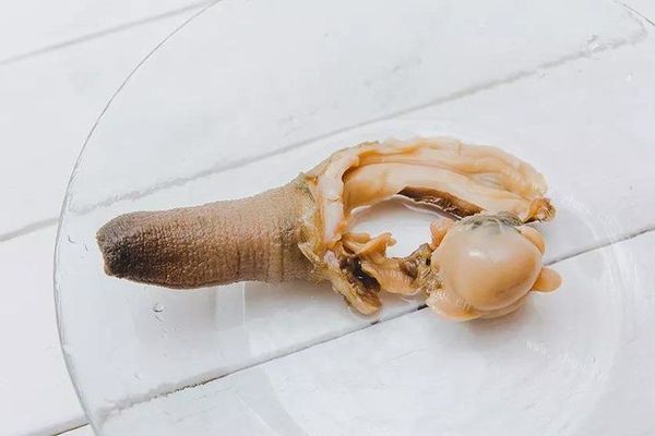 象拔蚌刺身——带你感受大自然的原汁原味第三步