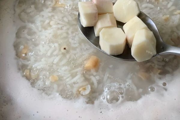 鲍鱼沙虫淮山药薏米粥，著名的家常菜，味道鲜美，食材丰盛，营养丰富第十一步