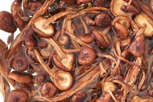 茶树菇乌鸡汤——暖胃更暖心第一步