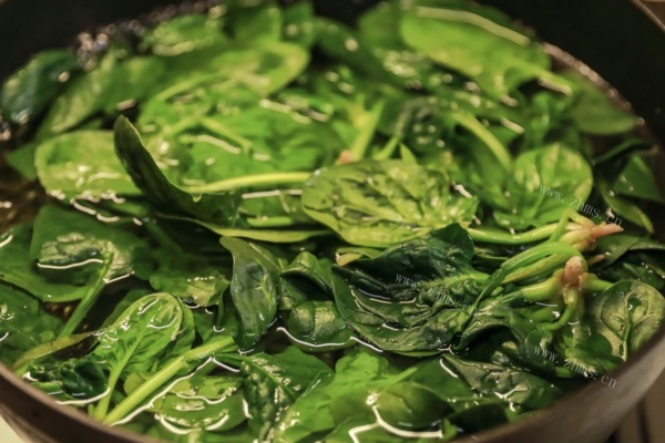 基础烫菠菜以及菠菜的保存方式，给喜欢吃蔬菜的朋友们的福利第四步